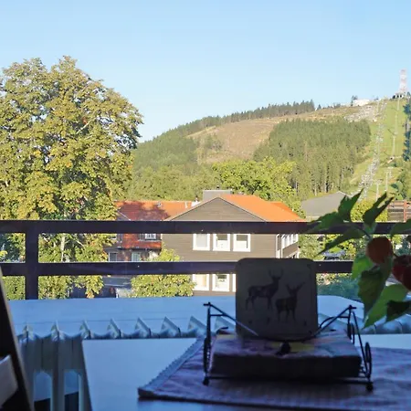 Bergblick471